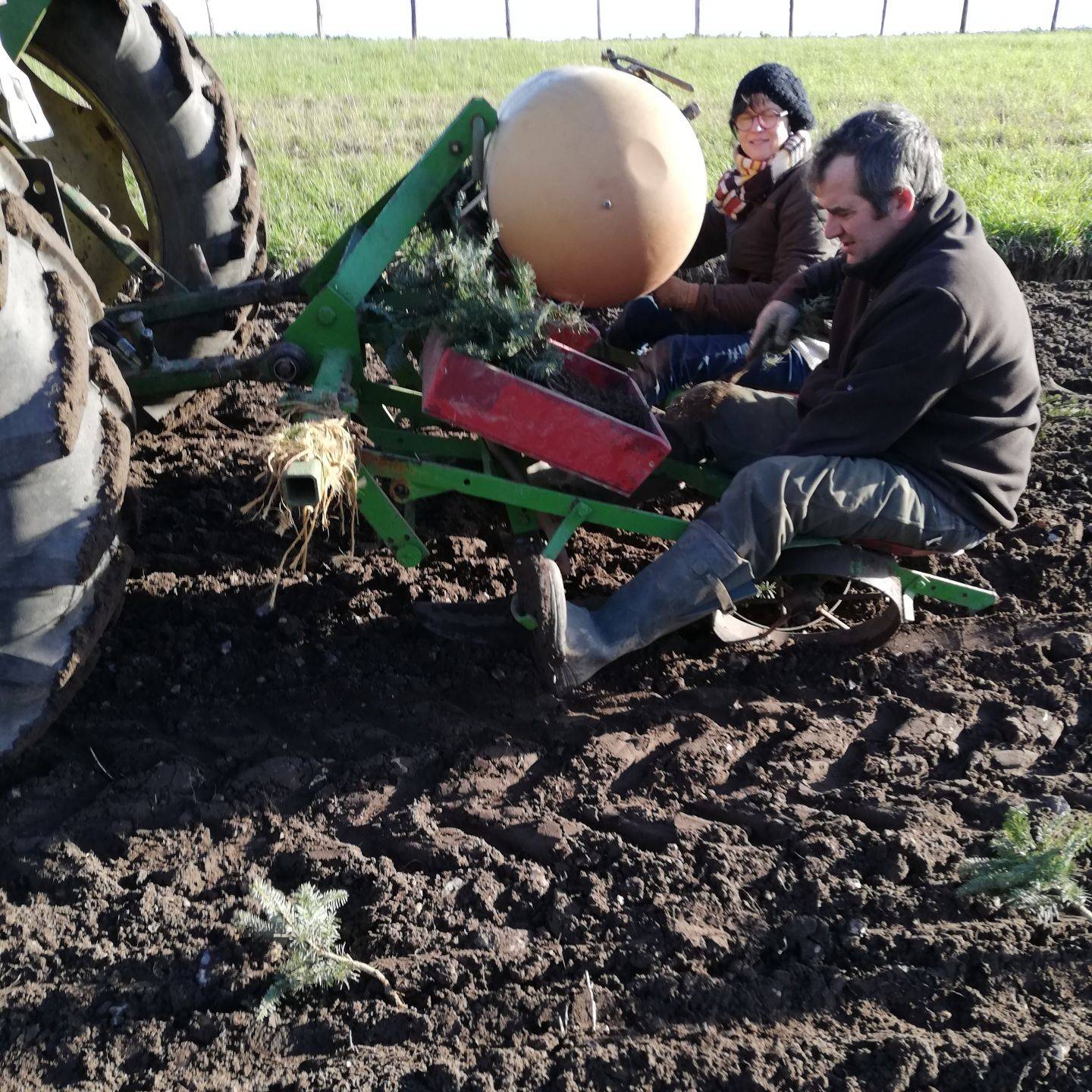 Monsieur sur tracteur